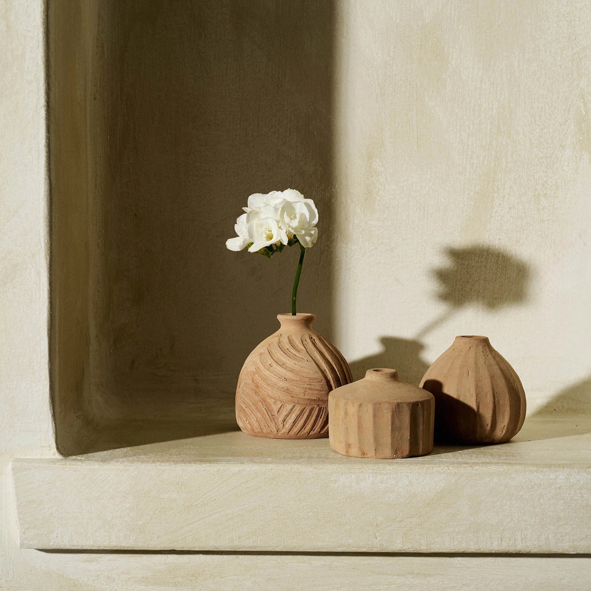 Clay Set 3pcs. Evaris 175