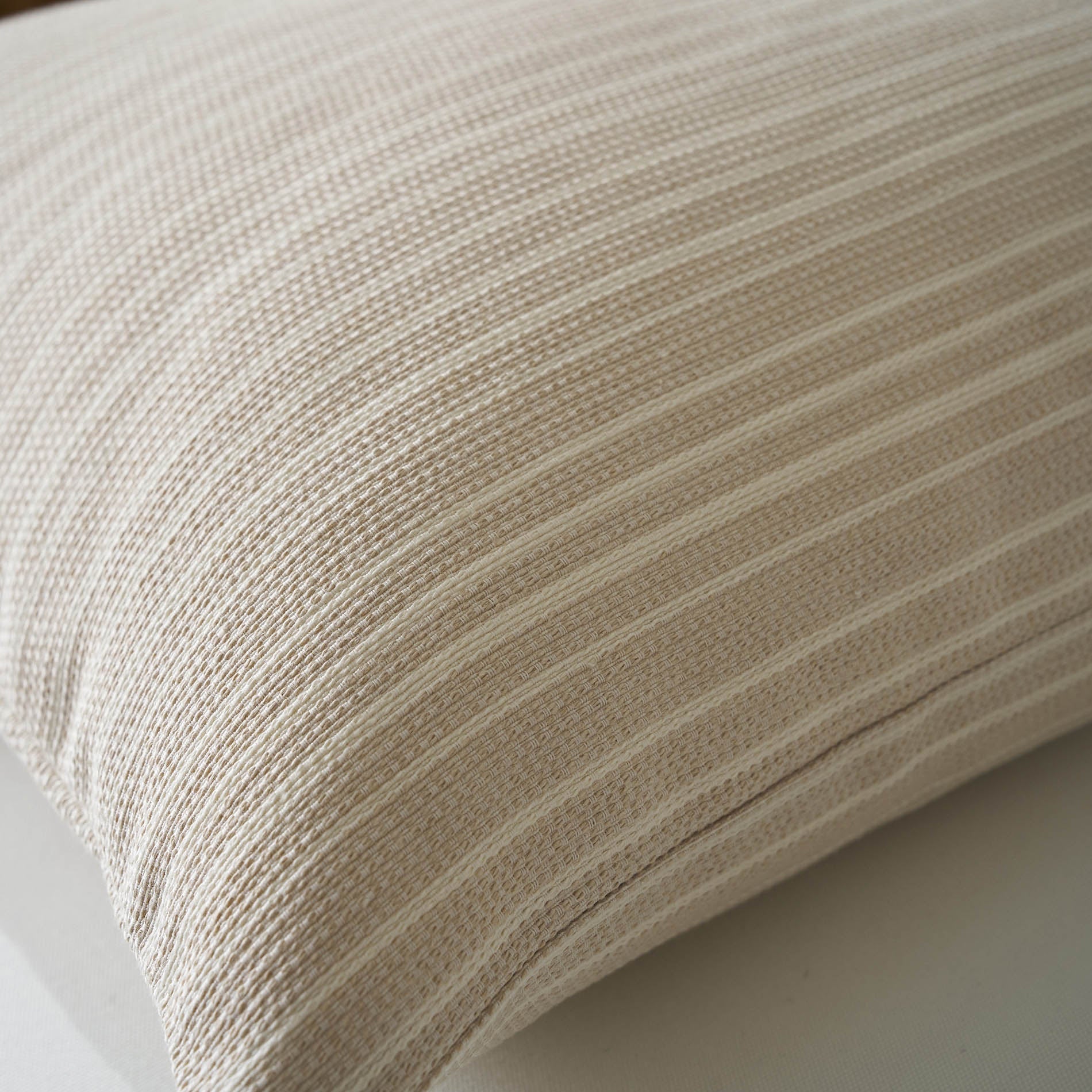 Μαξιλαροθήκη 50x50cm Nymeria Beige 574/06