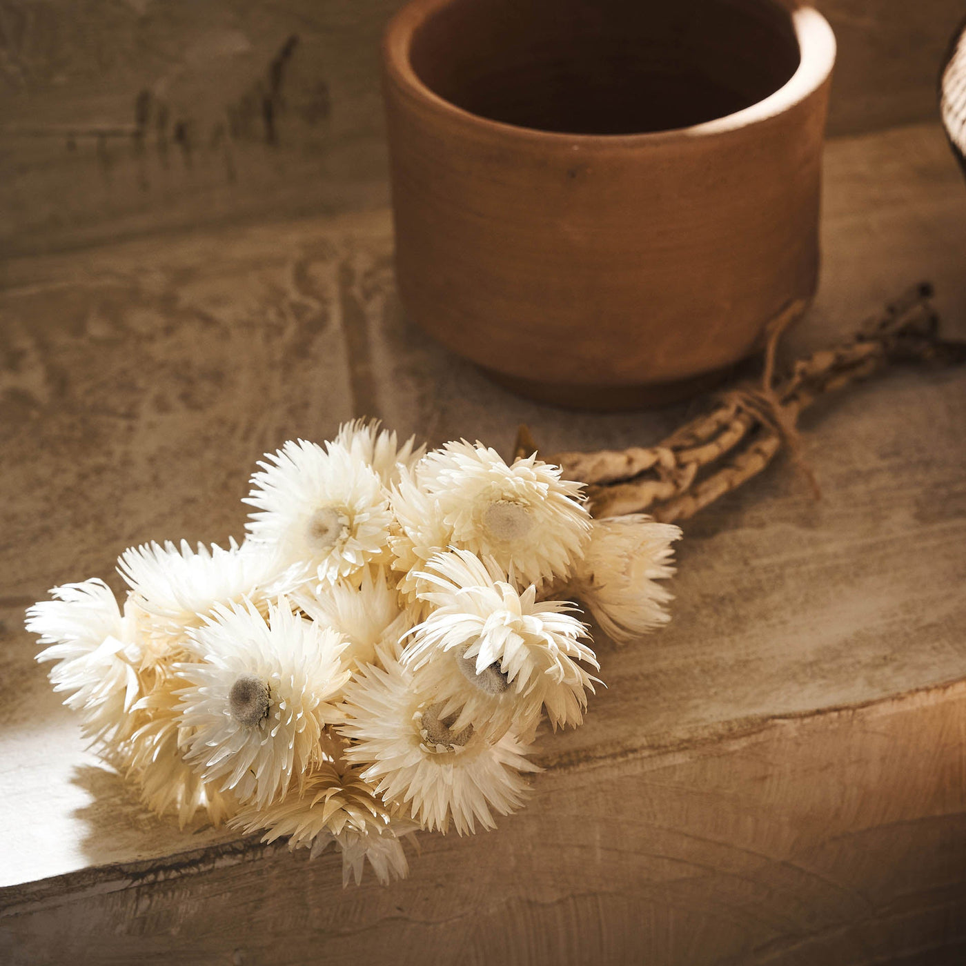 Dried Fouzia flowers 114