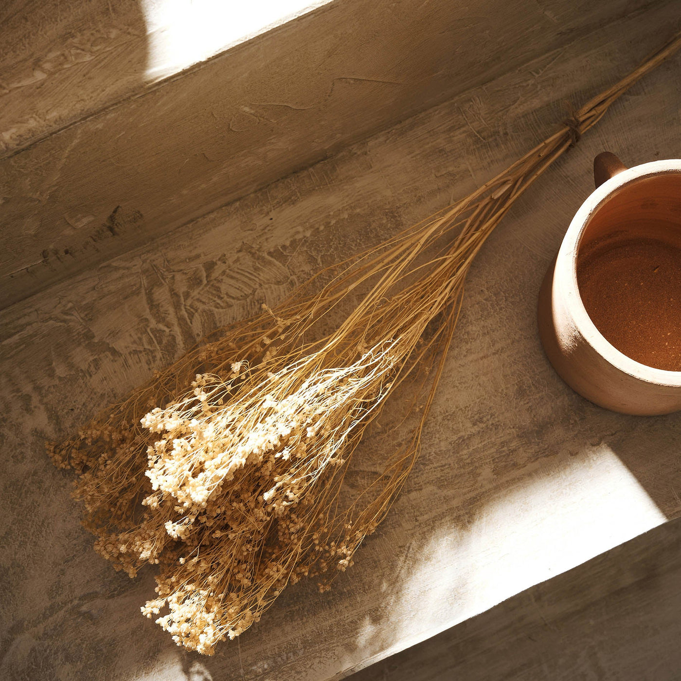 Dried Broom flowers 118