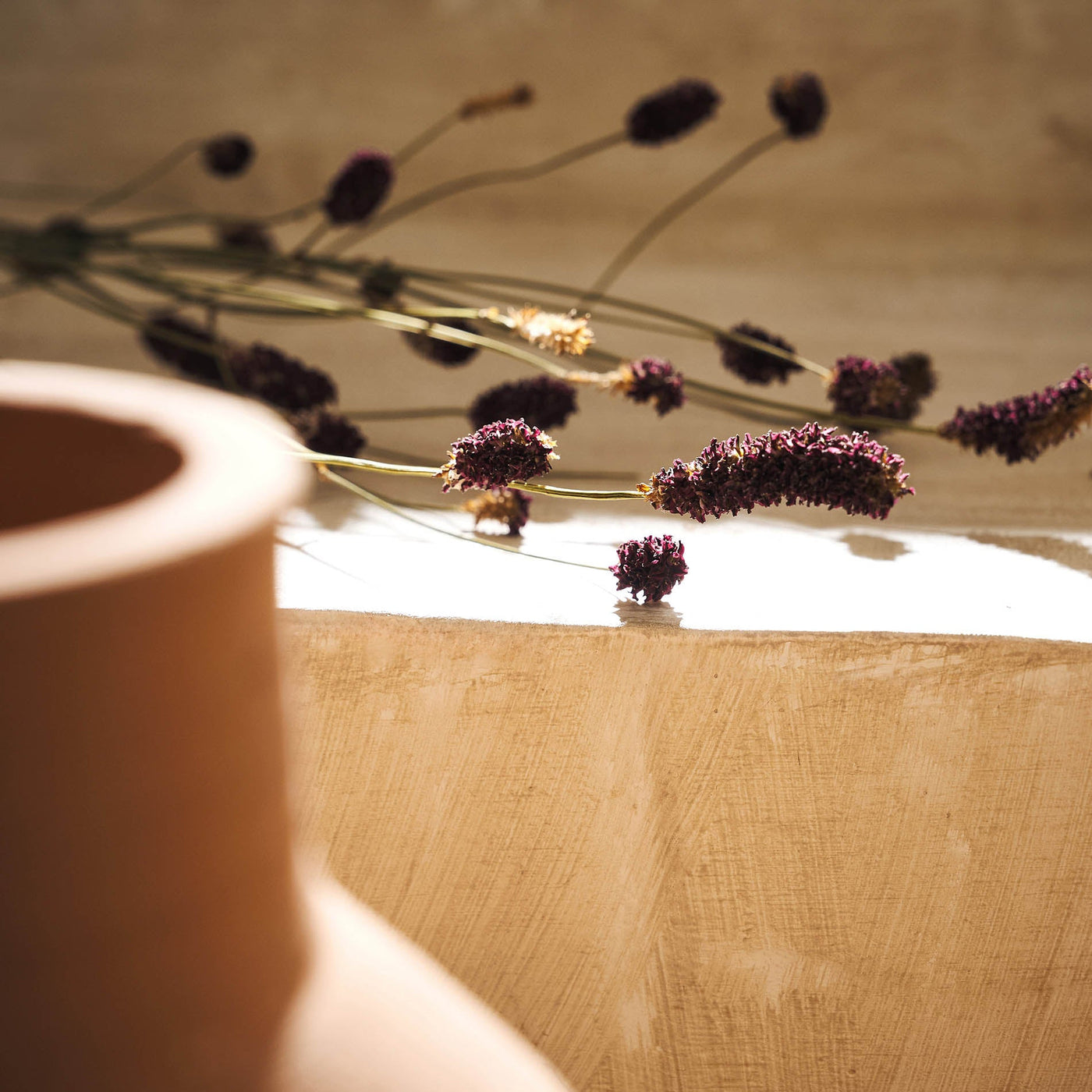 Dried Lilac flowers 122