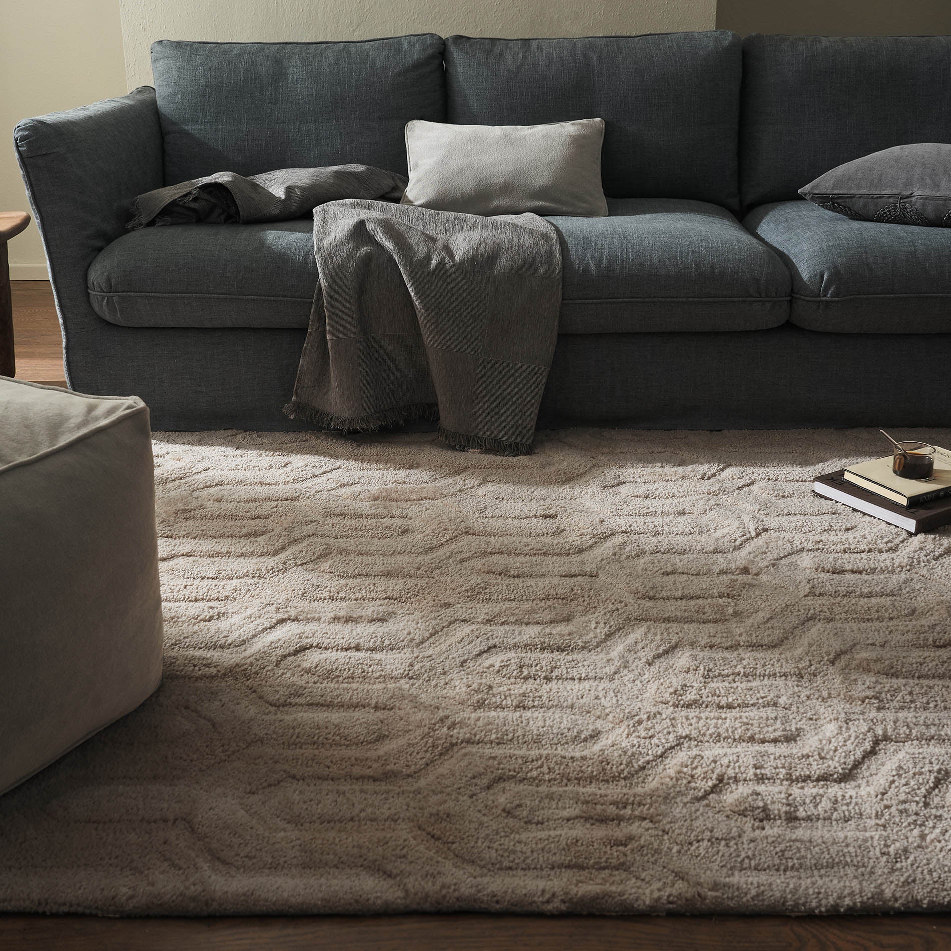 Χαλί 200x290cm  Delaney  Soft Brown 804/06
